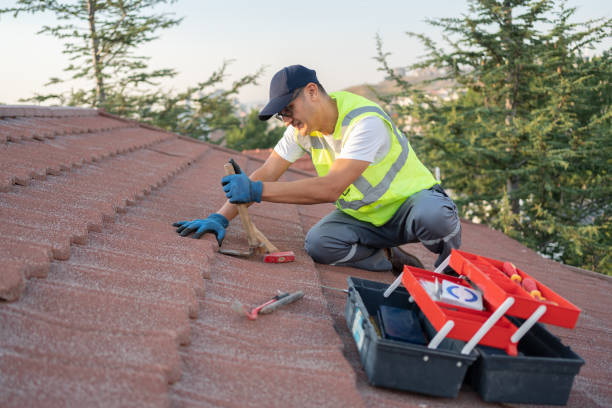Best Metal Roofing Contractor  in Ada, MN