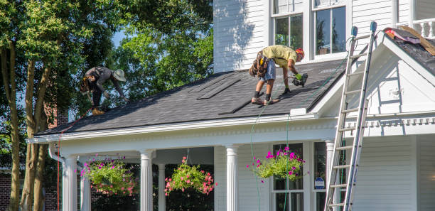 Best Roof Gutter Cleaning  in Ada, MN